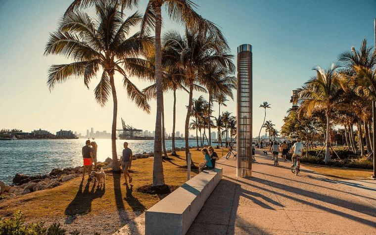 Beach Walking Path